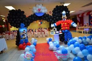 Disney Theme Party Decoration in Delhi, Gurgaon, Noida and Faridabad.