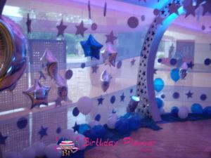 Birthday Party Organiser ideas