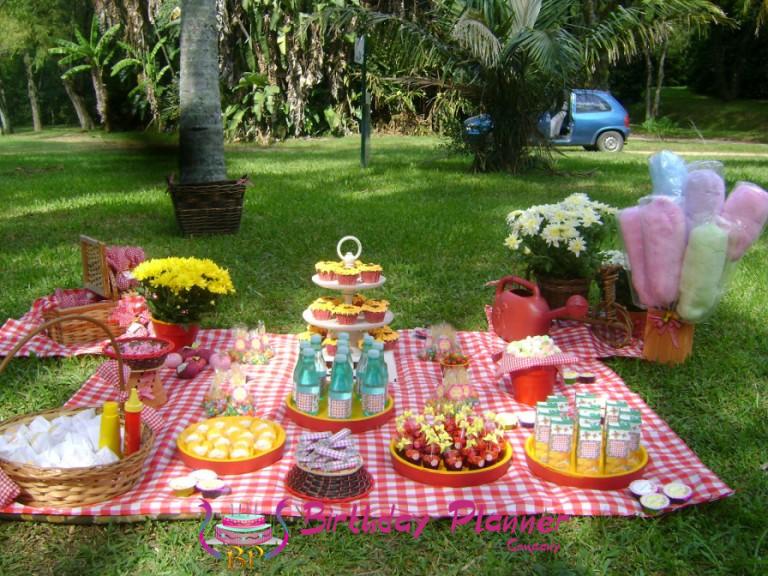 Picnic Dinner Party
