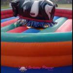 Read more about the article MECHANICAL BULL RIDE ON RENT IN DELHI NCR