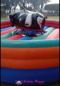 Read more about the article MECHANICAL BULL RIDE ON RENT IN DELHI NCR