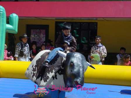 Bull Ride On Rent in Delhi