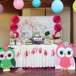 Owl Party Theme