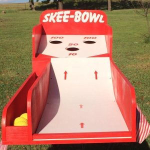 Skee Ball Carnival Game